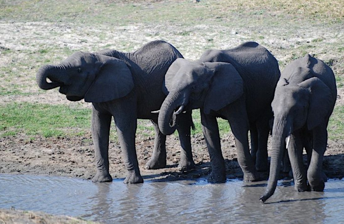 aren -executive hotel visit katavi national park